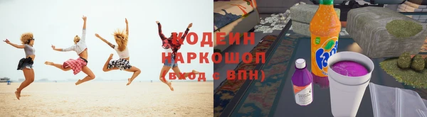 крисы Лабытнанги