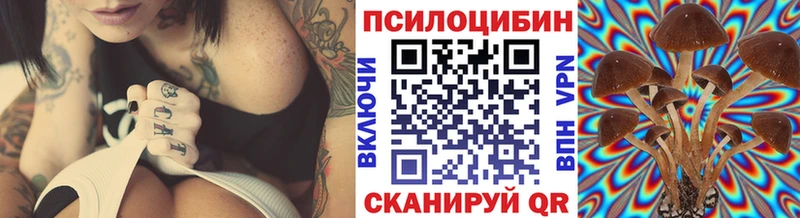 Псилоцибиновые грибы Cubensis закладка Шиханы